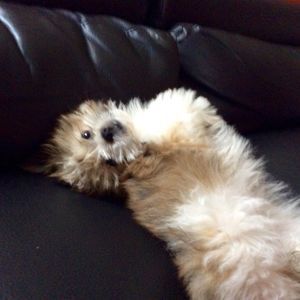 Meet your Posher, Beverly